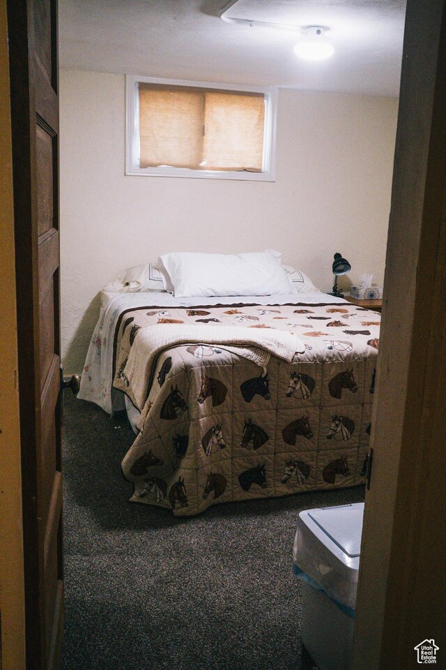 201 Bannock St, Malad City, ID 83252 - bedroom featuring carpet flooring