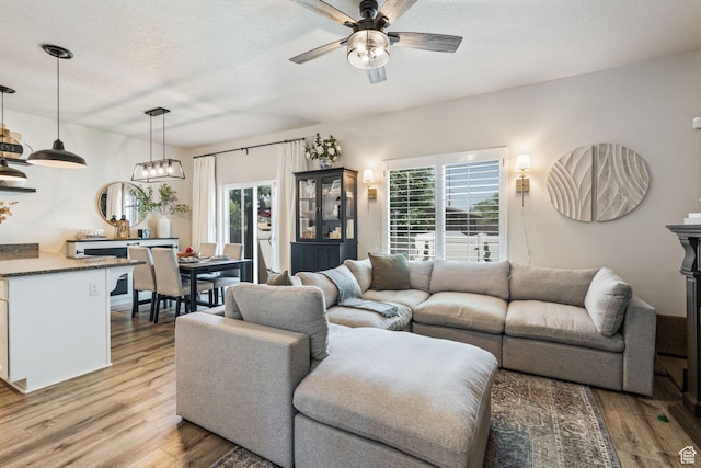 819 E 12085 S, Draper, UT 84020 - living room with light wood-style floors and ceiling fan