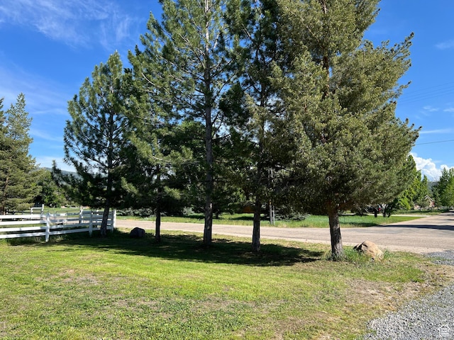 8842 E 500 S, Huntsville, UT 84317 - view of yard