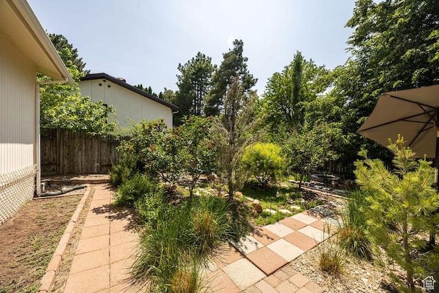 55 N 1300 E, Logan, UT 84321 - view of yard
