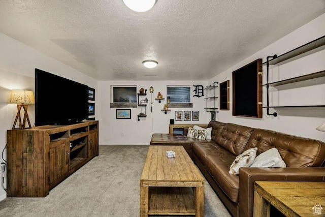 55 N 1300 E, Logan, UT 84321 - carpeted living area with a textured ceiling and baseboards