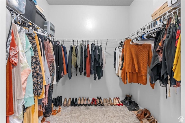 4192 W Mckellen Dr Unit B2, Herriman, UT 84096 - spacious closet with carpet floors