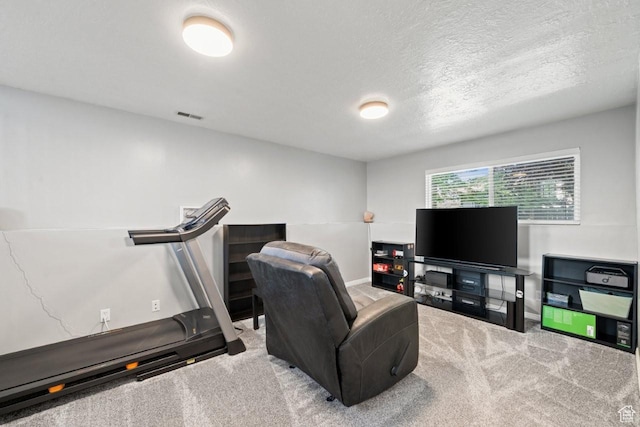 5747 S 2900 W, Roy, UT 84067 - exercise area featuring carpet, baseboards, and a textured ceiling