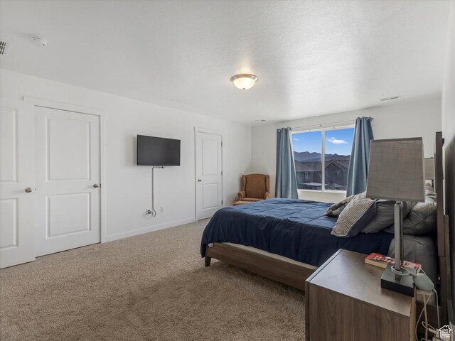 3592 W Beckham Dr, Herriman, UT 84096 - photo 13