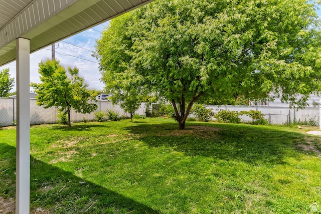 4799 S 3900 W, Roy, UT 84067 - view of yard