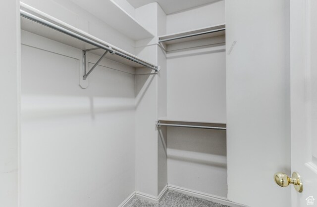 4799 S 3900 W, Roy, UT 84067 - spacious closet featuring carpet floors