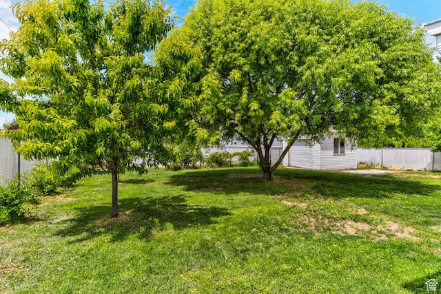 4799 S 3900 W, Roy, UT 84067 - view of yard