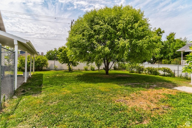 4799 S 3900 W, Roy, UT 84067 - view of yard
