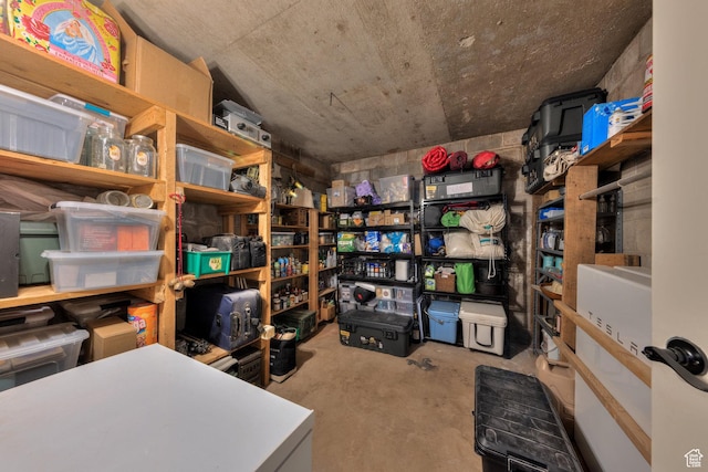 7020 E Creekside Ln, Castle Valley, UT 84532 - view of storage area