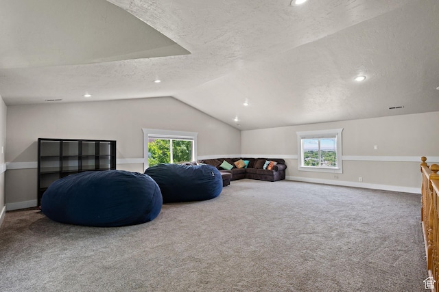663 N 880 E, Springville, UT 84663 - sitting room with a textured ceiling, lofted ceiling, healthy amount of natural light, carpet, and baseboards