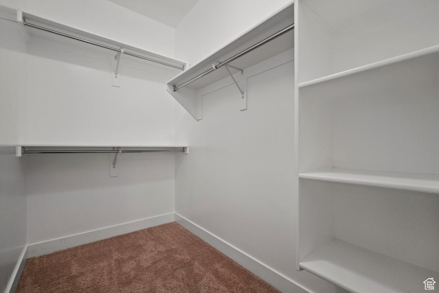 11066 S Becks Ln, South Jordan, UT 84095 - spacious closet featuring carpet