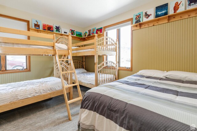 761 S Lakeview Dr, Garden City, UT 84028 - view of carpeted bedroom
