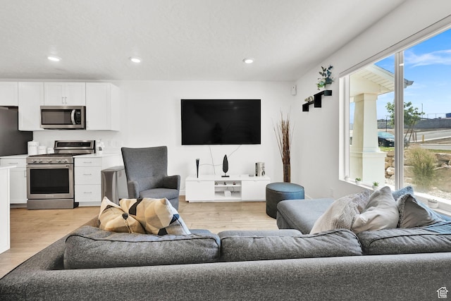 8622 W Cordero Dr S Unit 1170, Magna, UT 84044 - living area with light wood-style flooring and recessed lighting