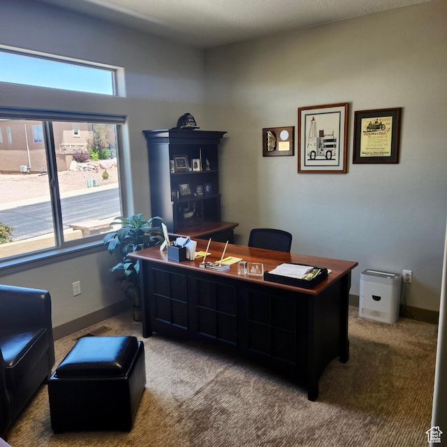 1158 E Ashdown Rd, Cedar City, UT 84721 - view of carpeted office