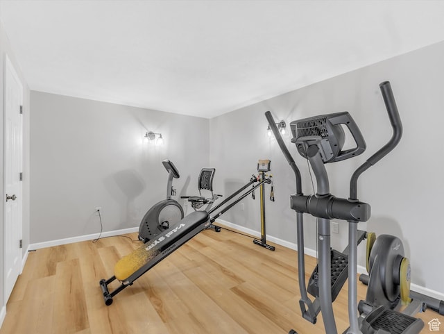 1293 N Buck Run Rd, Rush Valley, UT 84069 - workout room featuring wood finished floors and baseboards