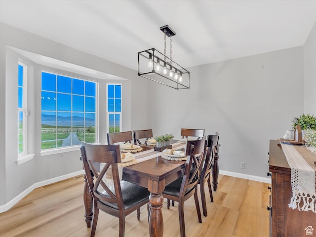 1293 N Buck Run Rd, Rush Valley, UT 84069 - dining space featuring light wood-style floors and baseboards