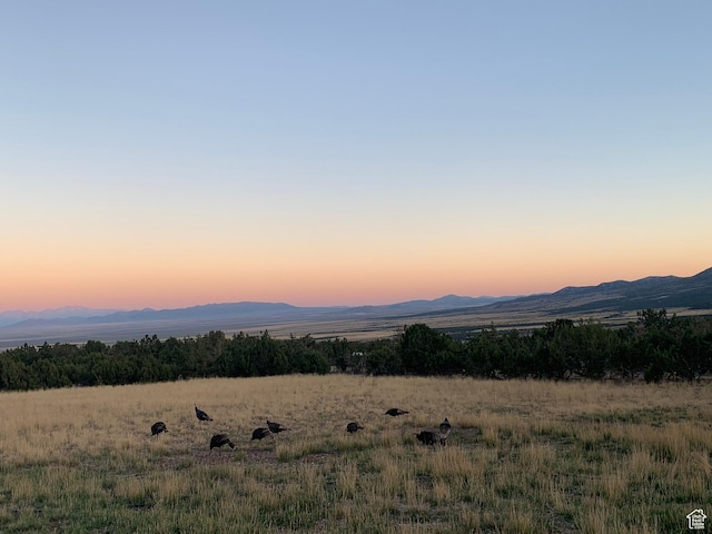 1293 N Buck Run Rd, Rush Valley, UT 84069 - mountain view featuring rural landscape