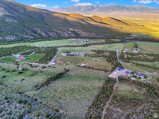 1293 N Buck Run Rd, Rush Valley, UT 84069 - aerial view of property and surrounding area with a mountainous background and rural landscape