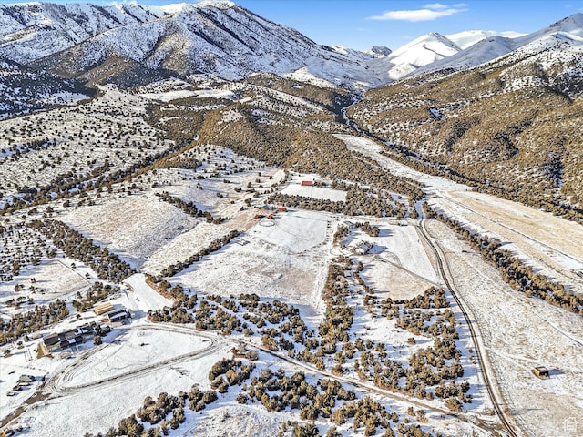 1293 N Buck Run Rd, Rush Valley, UT 84069 - snowy aerial view with a mountain view