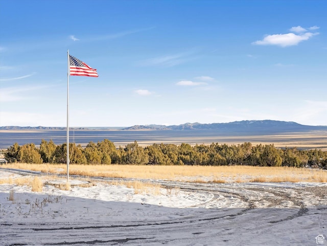 1293 N Buck Run Rd, Rush Valley, UT 84069 - view of mountain background