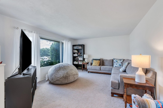 1031 N 1750 W, Provo, UT 84604 - living room featuring light colored carpet