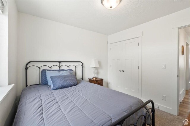 116 E 970 N, Santaquin, UT 84655 - bedroom with a closet and carpet floors