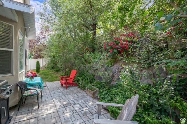 468 E Brewster, Draper, UT 84020 - fenced backyard with a patio area and a grill