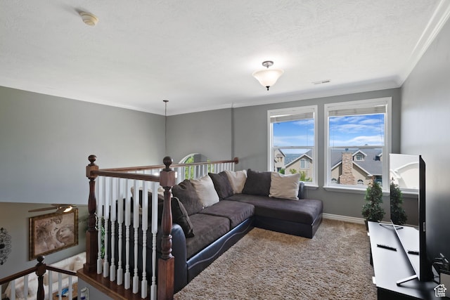 468 E Brewster, Draper, UT 84020 - living room with carpet flooring, ornamental molding, baseboards, and a textured ceiling