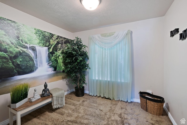 468 E Brewster, Draper, UT 84020 - spare room featuring carpet floors, plenty of natural light, baseboards, and a textured ceiling
