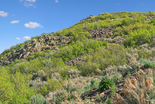 1421 E E Highway 35, Kamas, UT 84036