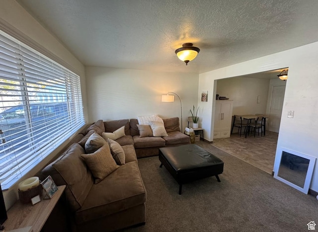 237 W 310 N, Orem, UT 84057 - living area with a textured ceiling and carpet