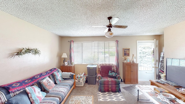 237 W 310 N, Orem, UT 84057 - carpeted living room with healthy amount of natural light, a ceiling fan, and a textured ceiling