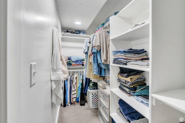 162 W 350 N, Vineyard, UT 84059 - walk in closet with carpet flooring