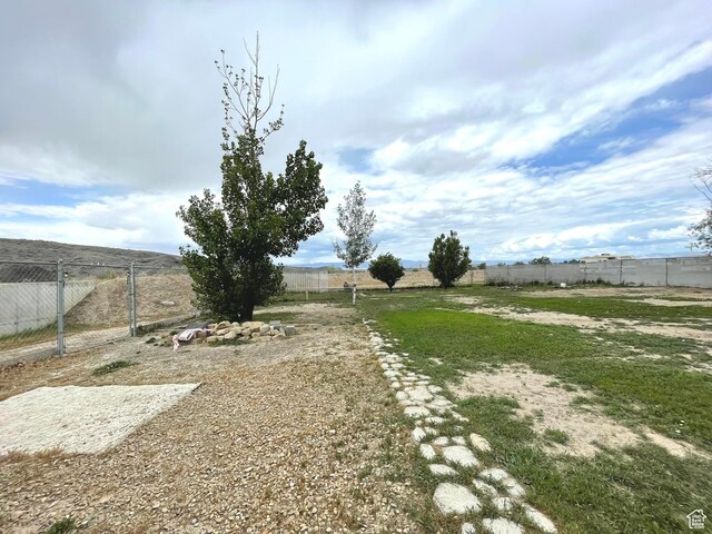 870 S 100 E, Wellington, UT 84542 - view of yard