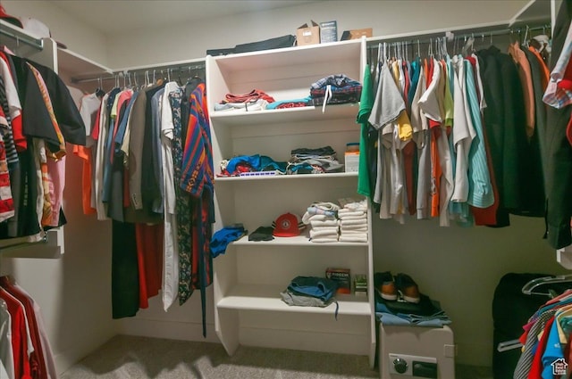 1123 S 4150 W, West Point, UT 84015 - spacious closet with carpet flooring