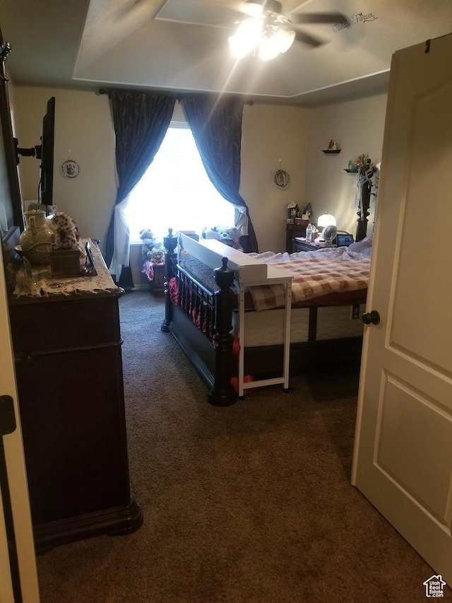 4895 W 5000 S, Hooper, UT 84315 - bedroom with dark carpet and a ceiling fan
