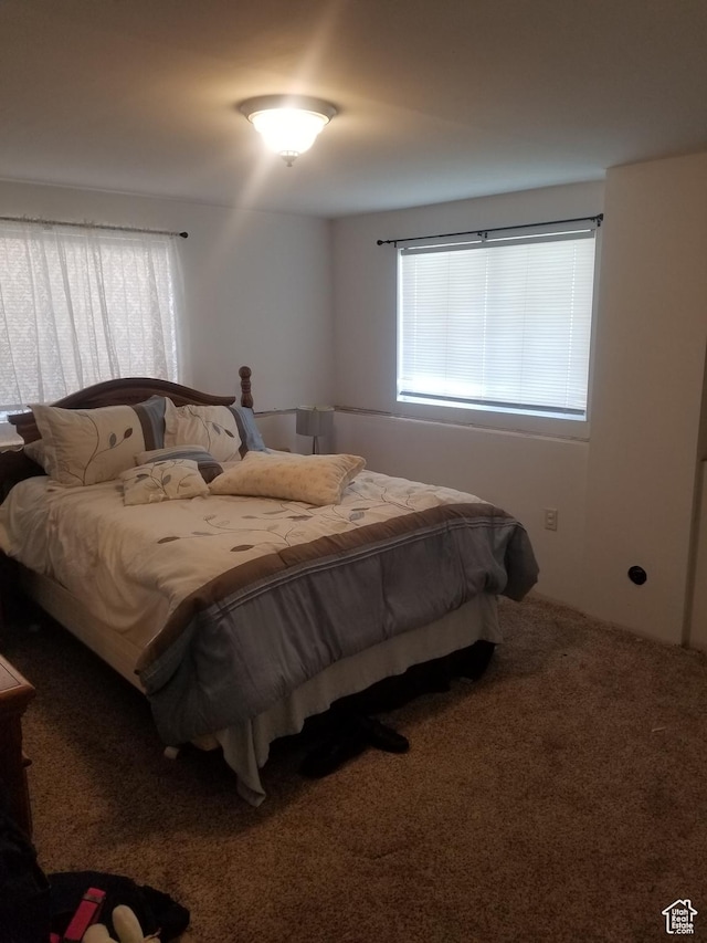 4895 W 5000 S, Hooper, UT 84315 - view of carpeted bedroom