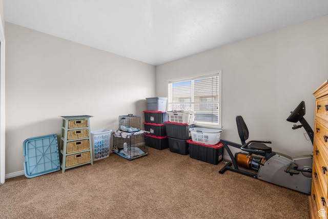 7819 S Spruce Tree Ln, Sandy, UT 84094 - view of carpeted home office