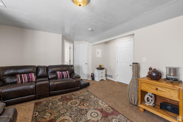 7819 S Spruce Tree Ln, Sandy, UT 84094 - living room featuring carpet floors