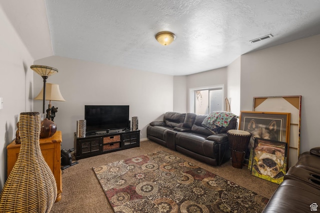 7819 S Spruce Tree Ln, Sandy, UT 84094 - living area featuring carpet and a textured ceiling