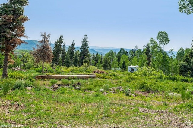 706 W Tranquility Dr, Virgin, UT 84779 - view of yard featuring a mountain view