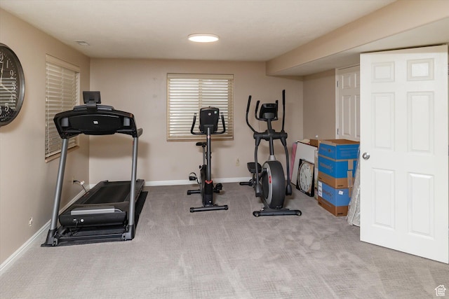 1007 E 2650 N, North Logan, UT 84341 - workout room with baseboards and carpet floors