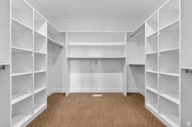 1676 W Timp Meadows Dr, Lehi, UT 84043 - spacious closet with carpet flooring
