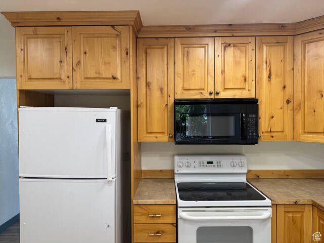 559 E Harmston Ave, Roosevelt, UT 84066 - kitchen with white appliances and light countertops