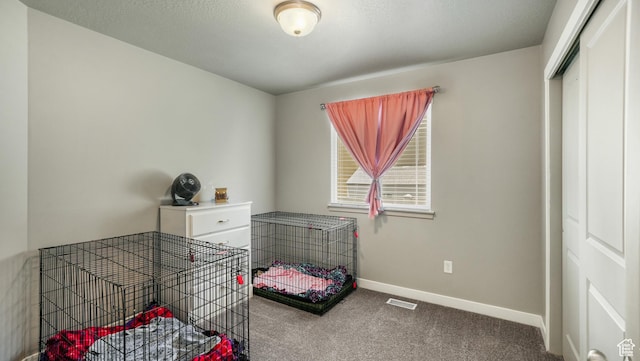 1026 E Searle Ln, Eagle Mountain, UT 84005 - bedroom featuring carpet floors, baseboards, and a closet
