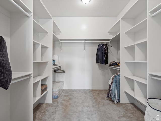 4021 E 4325 N, Eden, UT 84310 - spacious closet with carpet