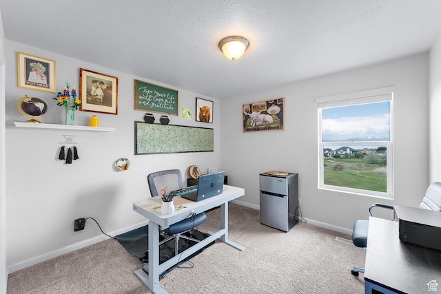 227 E Sandhill Dr, Saratoga Springs, UT 84045 - home office featuring carpet flooring and baseboards