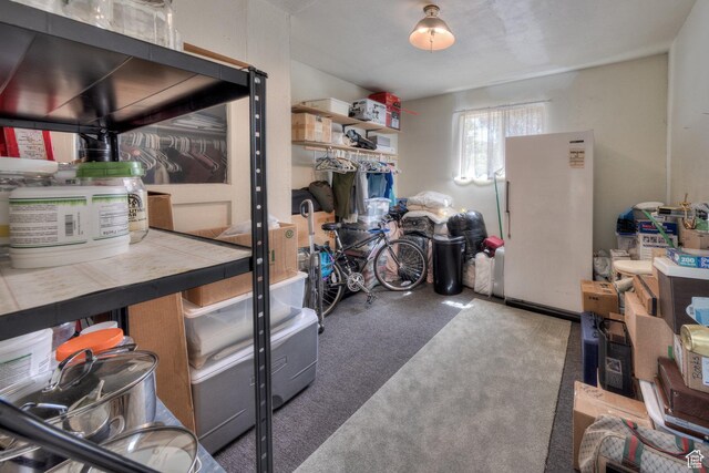279 Park Rd, Moab, UT 84532 - view of storage room