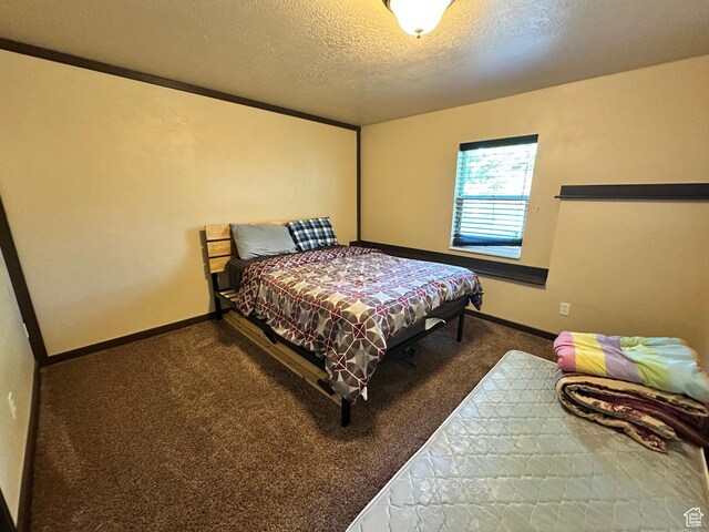 12 Crook St, Fish Haven, ID 83287 - photo 32