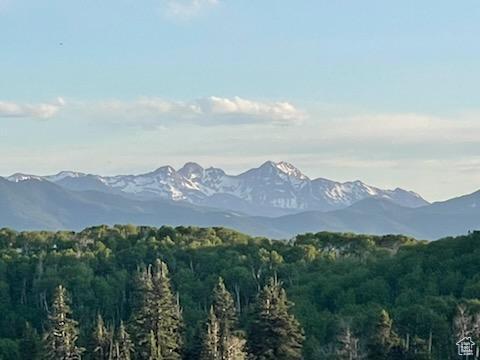14020 W Aspen Ridge Cir, Wanship, UT 84017 - photo 4